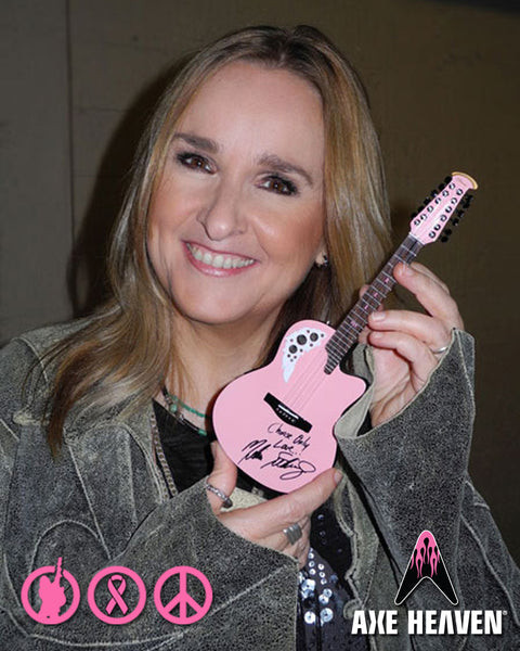 Collectors Archive of Miniature Guitars