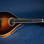 Willie’s Guitar: Your Premier Destination for New, Used, and Vintage Guitars
