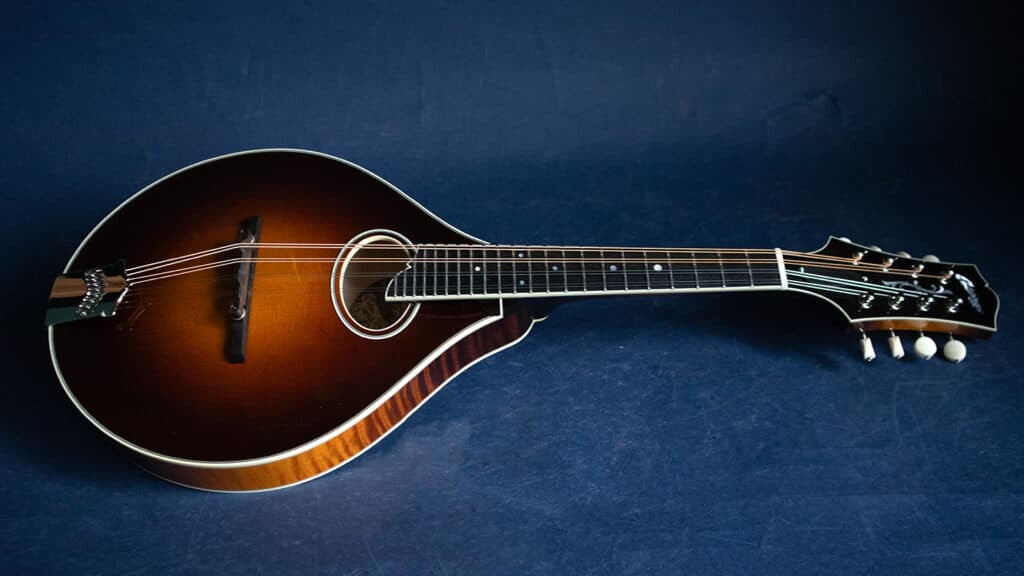 Willie’s Guitar: Your Premier Destination for New, Used, and Vintage Guitars