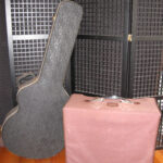 Variety of guitars displayed in a local guitar shop, showcasing both electric and acoustic models.