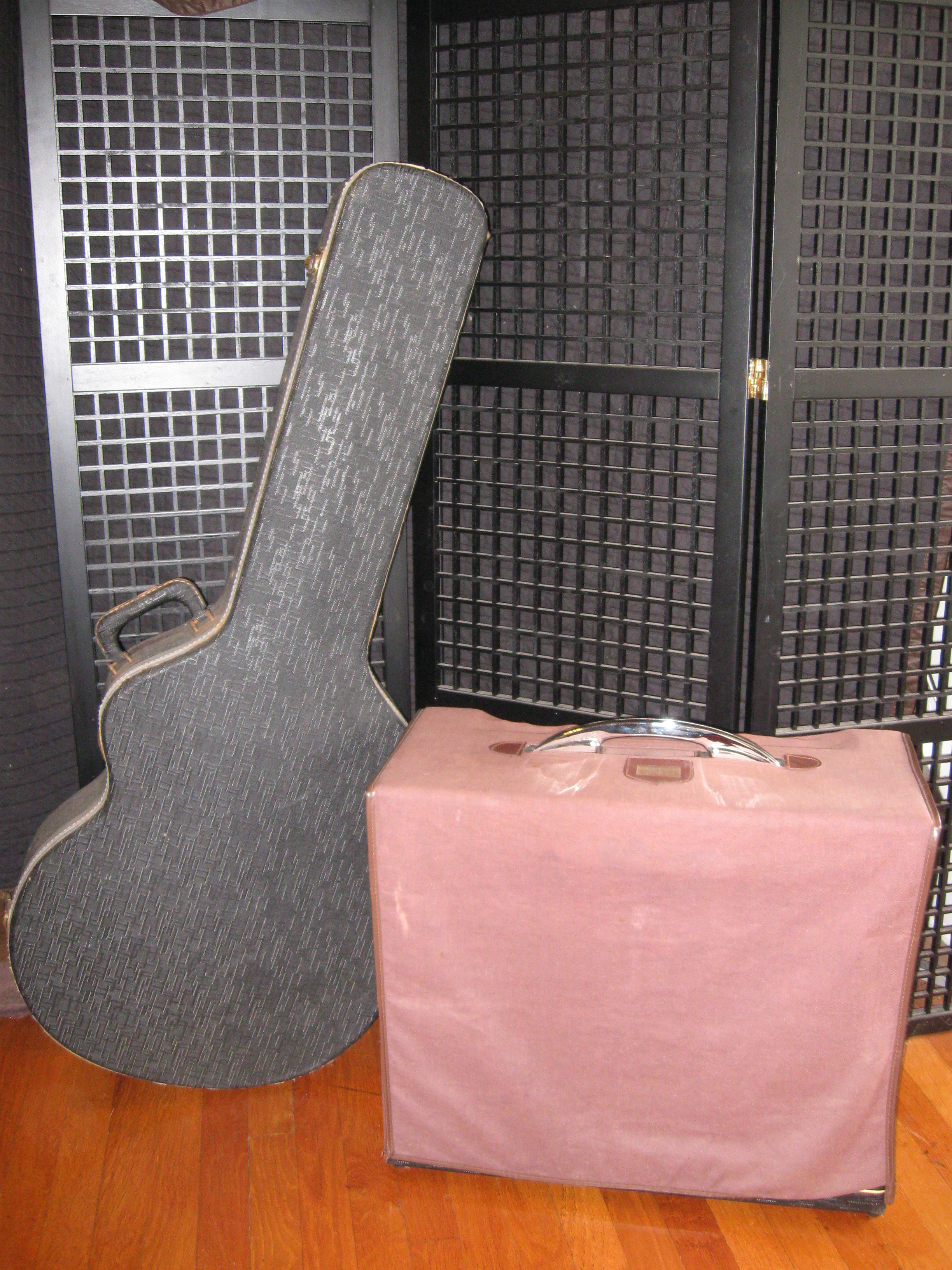 Variety of guitars displayed in a local guitar shop, showcasing both electric and acoustic models.