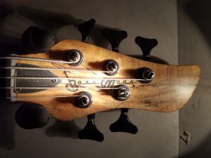 Bass Mods Bass Review