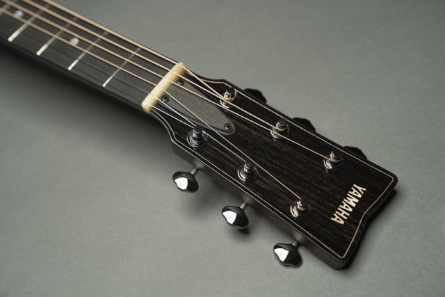 David Ryan Harris holding his custom Yamaha guitar, expressing satisfaction with the final product