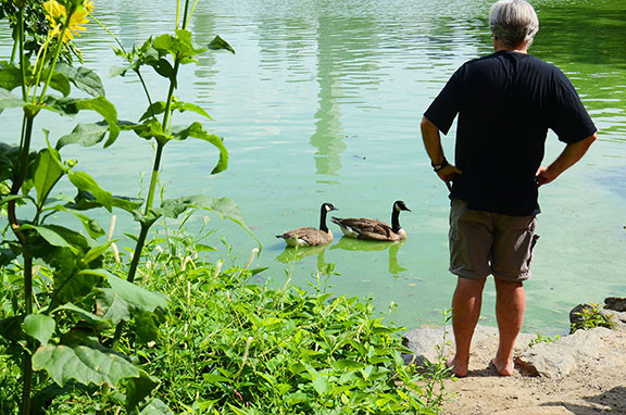 Dean, the &quot;Goose Whisperer,&quot; at &quot;The Hill,&quot; a familiar figure at the Central Park performances
