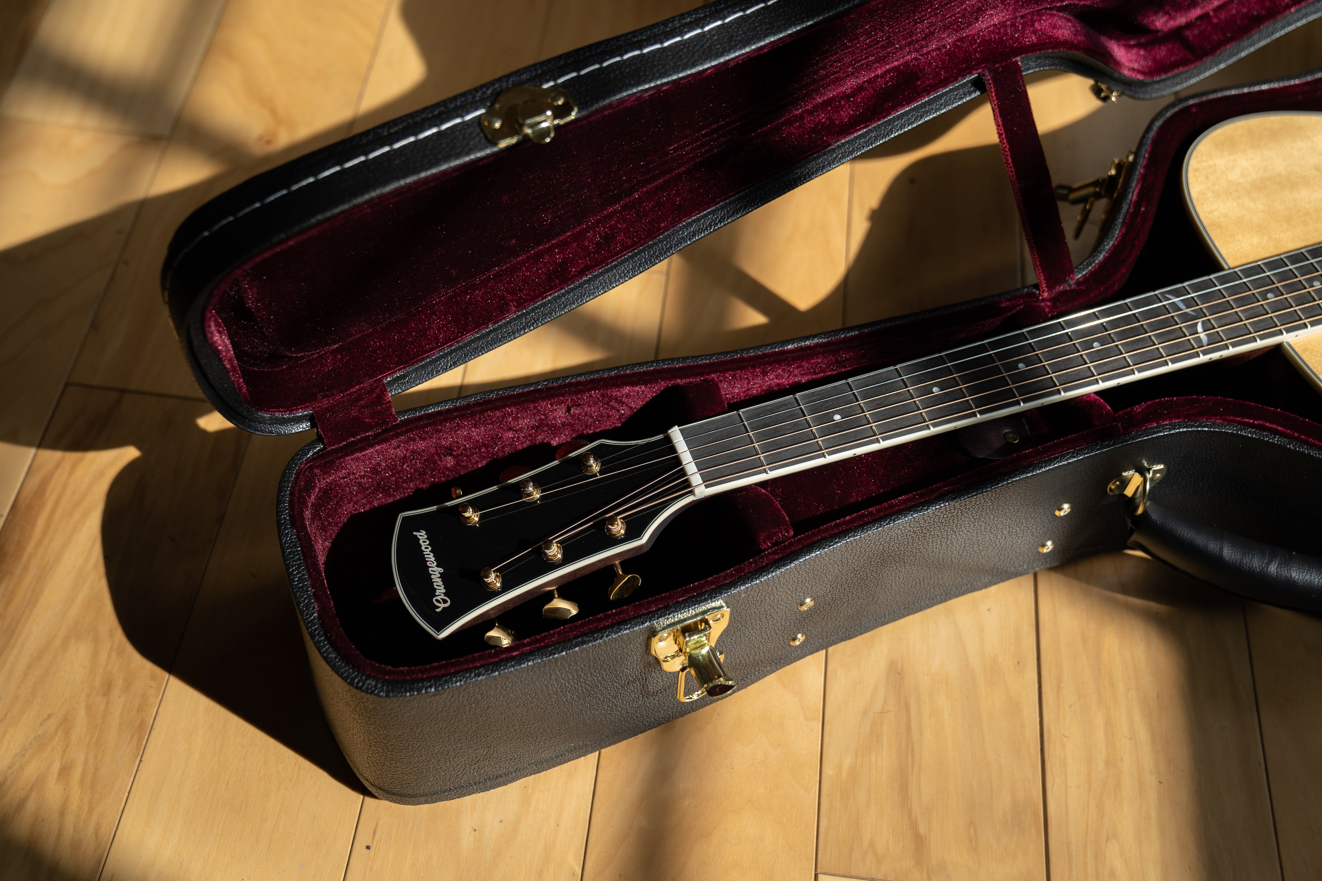 Hard shell guitar case