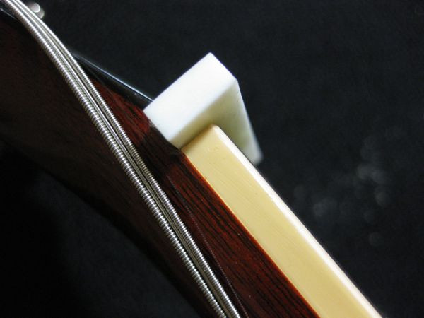 seated bone nut blank