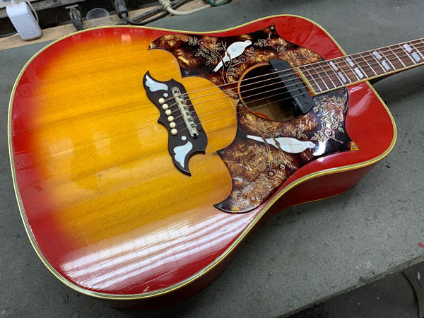 The fully restored and polished 1968 Gibson Dove guitar