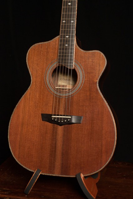 Lichty Custom Handmade Acoustic Guitar