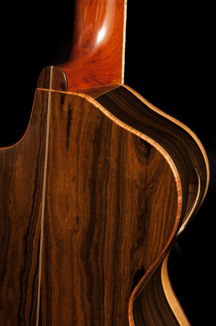 Lichty Custom Handmade Acoustic Guitar