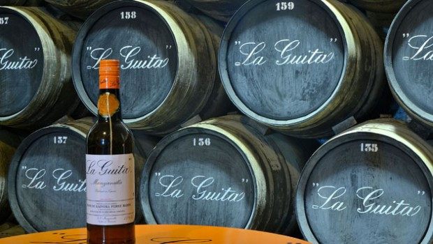 La Guita Manzanilla Bottle with String Neck