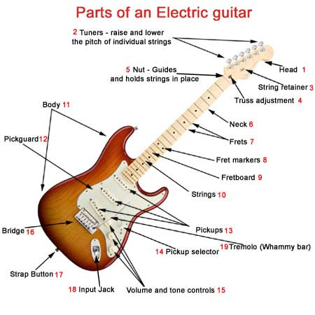 Diagram illustrating the parts of an electric guitar, including the headstock, neck, body, pickups, and bridge