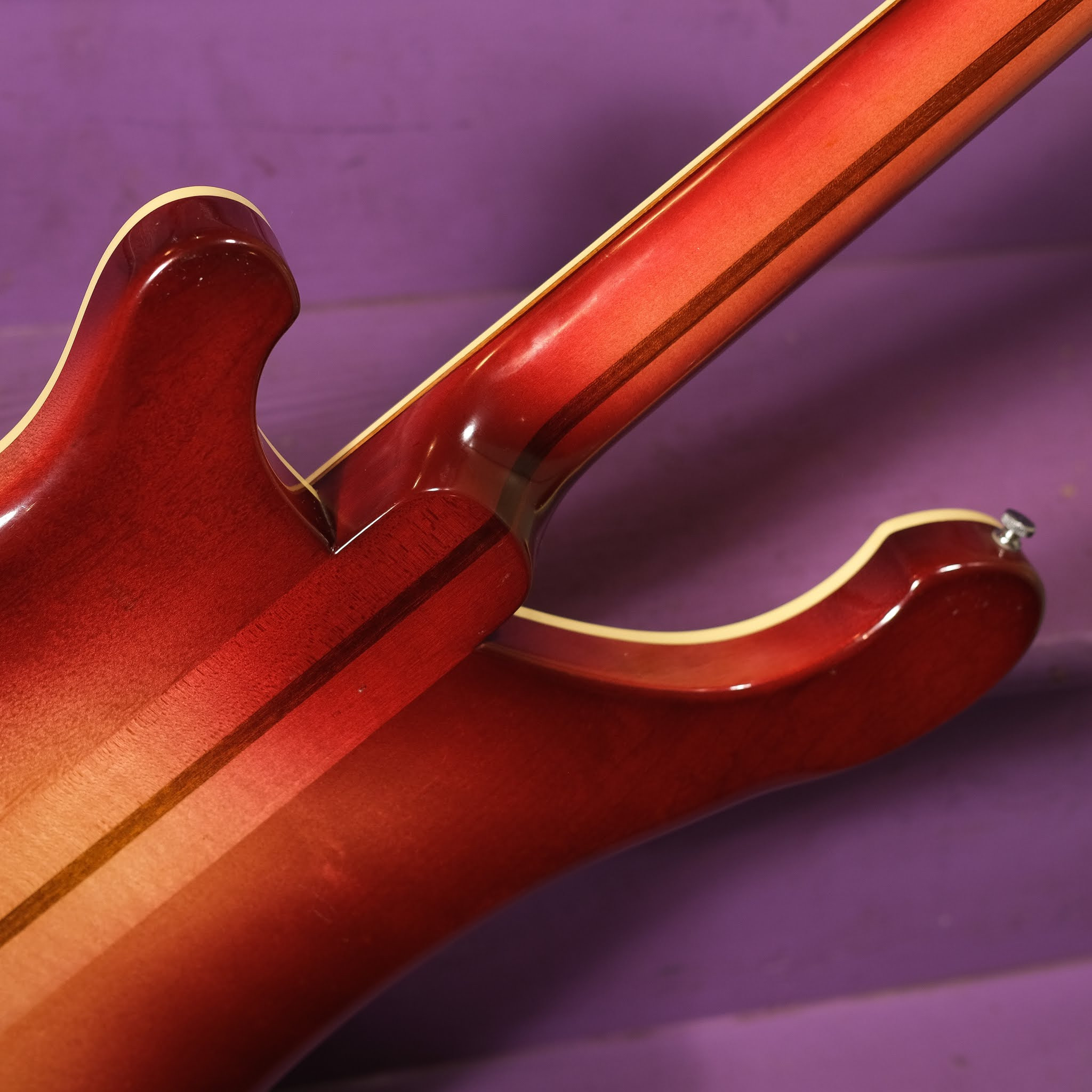 Image of the Rickenbacker 4001 bass guitar in its case, implying care and preservation of the instrument