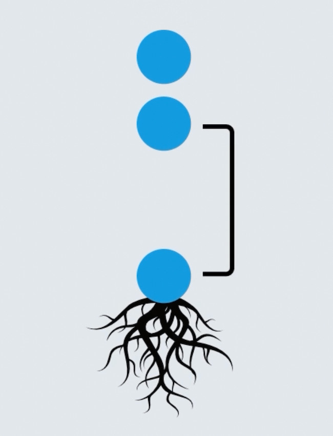 Root Note and Intervals Diagram