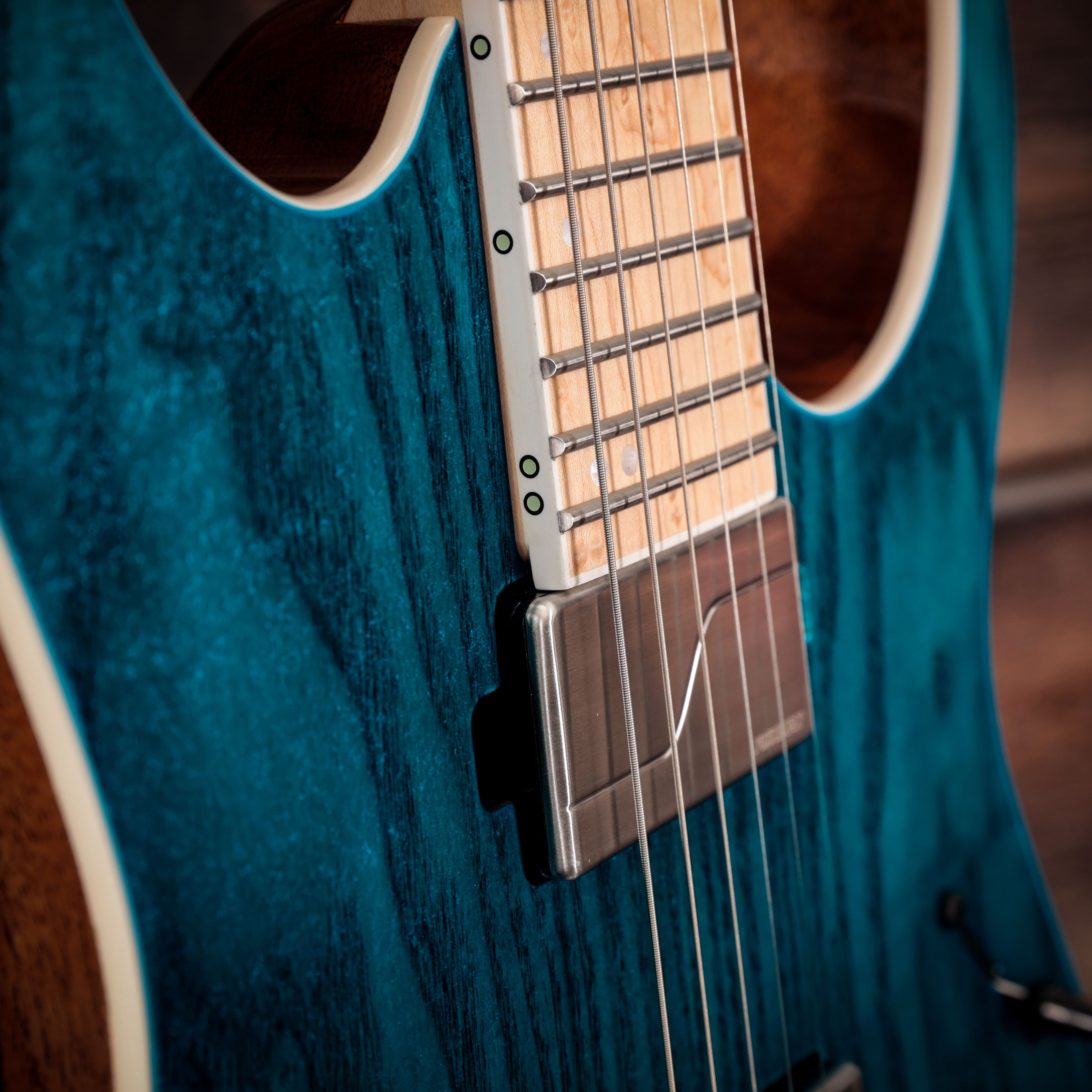 Ibanez RG Series 24 Fret Electric Guitar