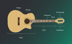 Guitar Parts