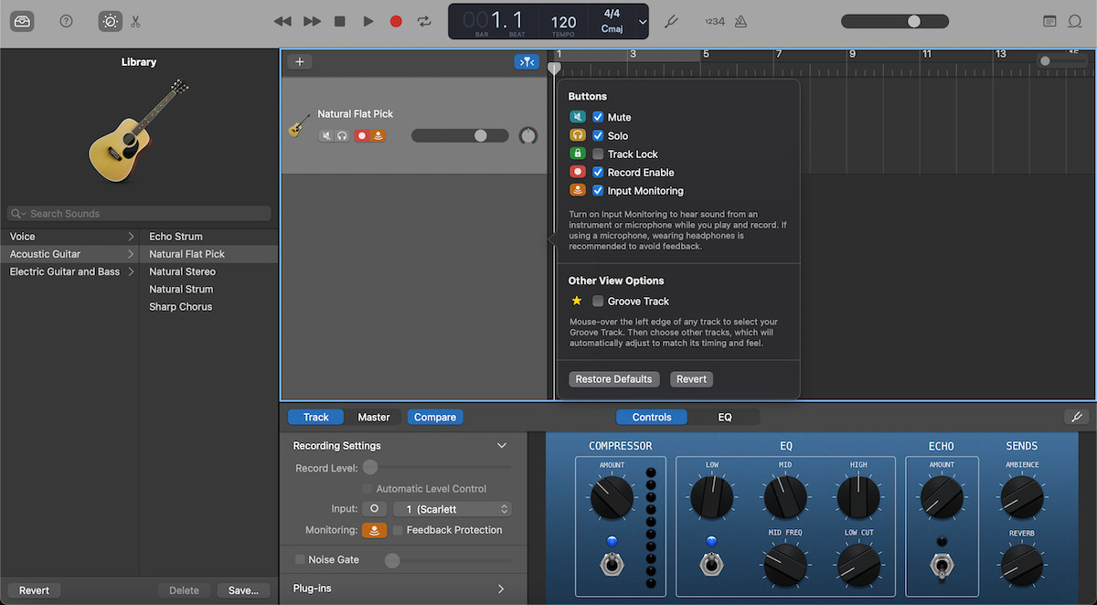 Configuring track headers on a single guitar track on GarageBand for Mac