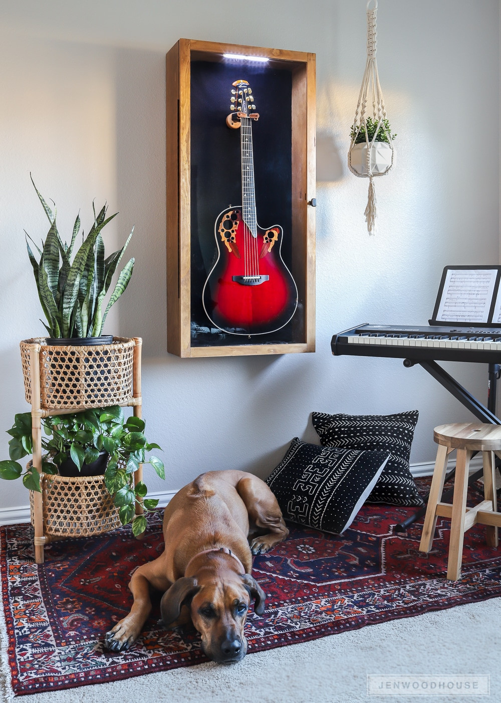Guitar Display Case Design